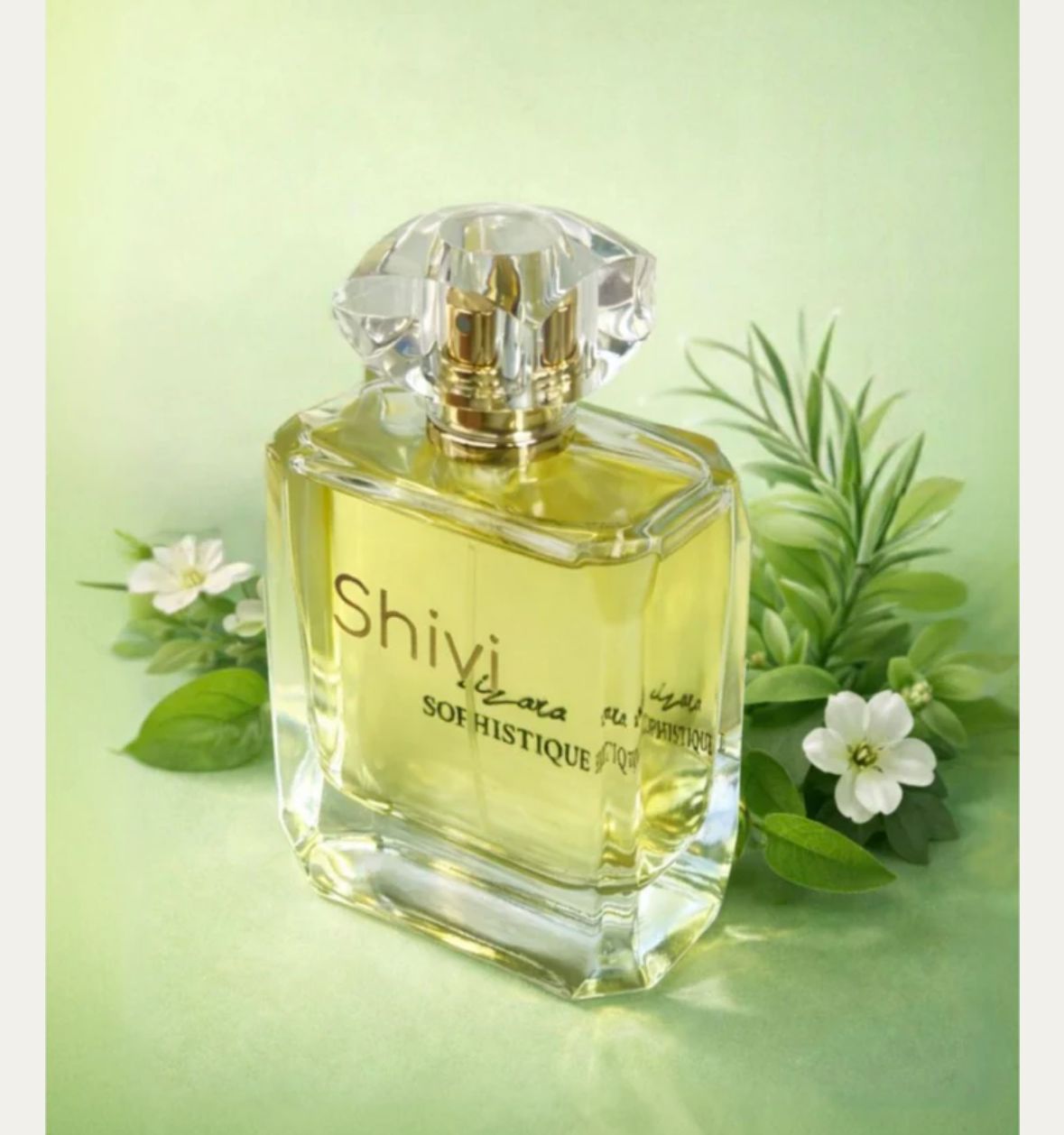 Gallery Image 13